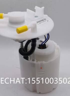 朗动311103X210汽油泵