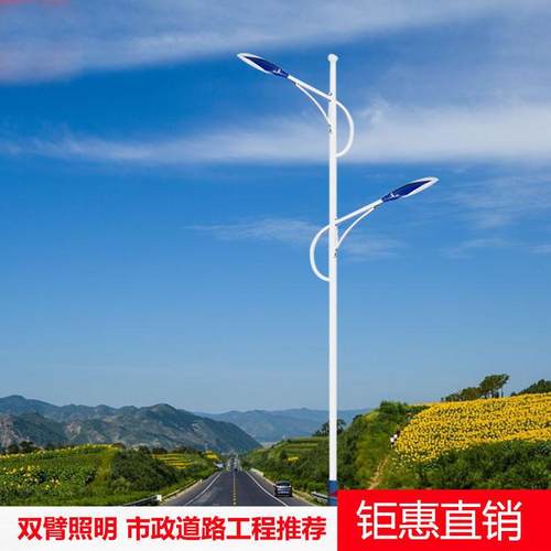 厂家直销市电路灯led高杆灯户外新农村超亮220v100w双臂路灯LED
