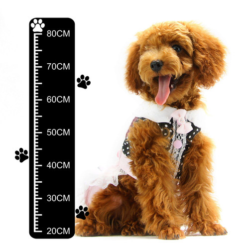 宠物店铺猫狗身高测量表肩高表玻璃墙贴纸卡通创意装饰健康表