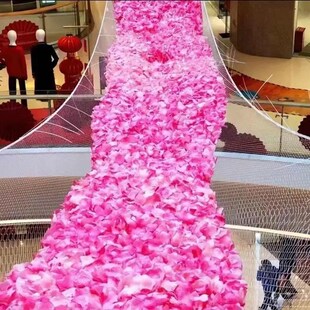 婚礼节日花瓣雨下落网活动开业专用策划长条网节日装扮场景布置