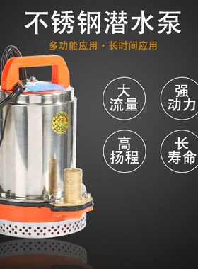 12V160W直流潜水泵家用电动车电瓶车电泵农用抽水机抽水泵