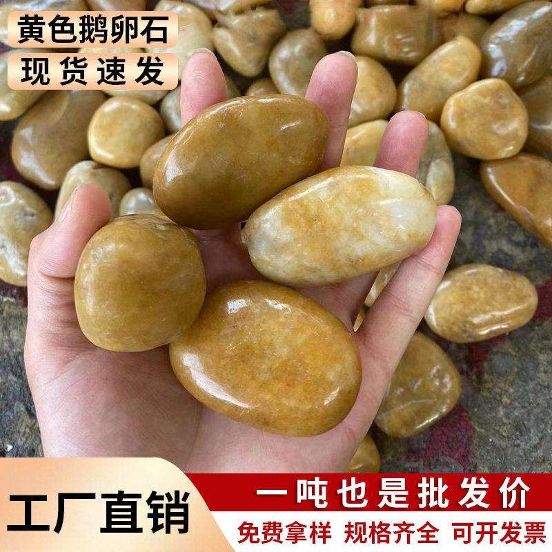 黄色鹅卵石铺路铺地黄石头庭院园林造景装饰精抛光雨花石鹅卵石