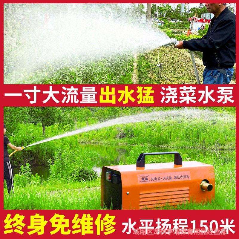大功率电动浇水机自吸泵农用灌溉抽水泵户外携便式12v浇菜抽水泵