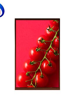 10.1寸屏 IPS全视角液晶显示屏 800*1280 31/40P MIPI 可配触摸