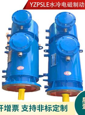 内循环水冷三相异步电动机TZJNP225S-4/37KW55KW水冷耐高温电机