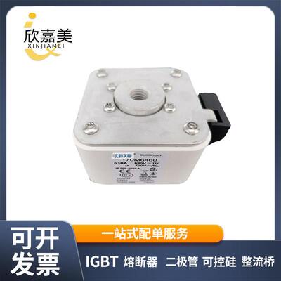 170M6460 170M6270 快速熔断器 保险丝 电子元器件 量大价优