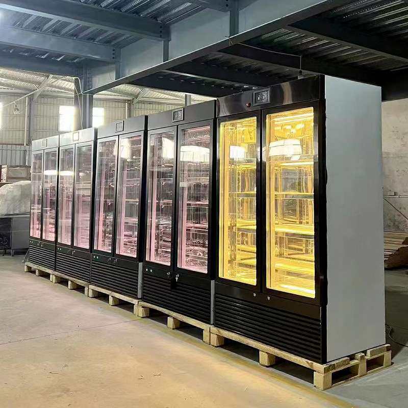 干式牛肉熟成柜商用西餐牛排冷冻展示柜冷藏保鲜柜风冷牛肉排酸柜