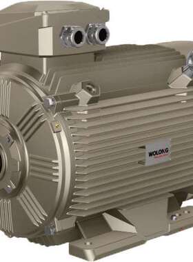 WEPMA5-63M-0.25KW-2P 冷却方式 IC411、 IC416安装方式 B3、 B5