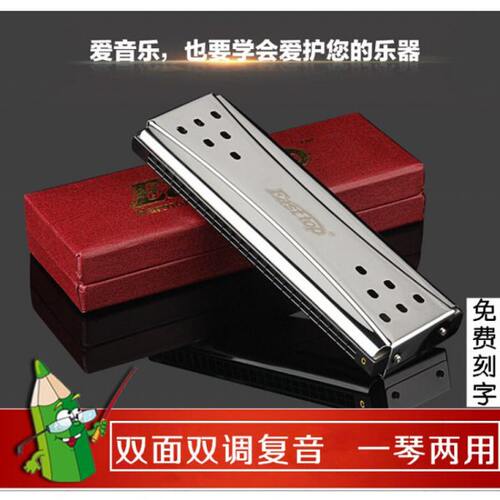 东方口琴GE两调专业乐器双24孔正品鼎TOST调双面C调音复P调演奏A