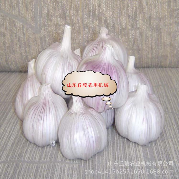 全自动大蒜剪杆去胡机 48V电动大蒜剪杆去胡机 不锈钢超耐用