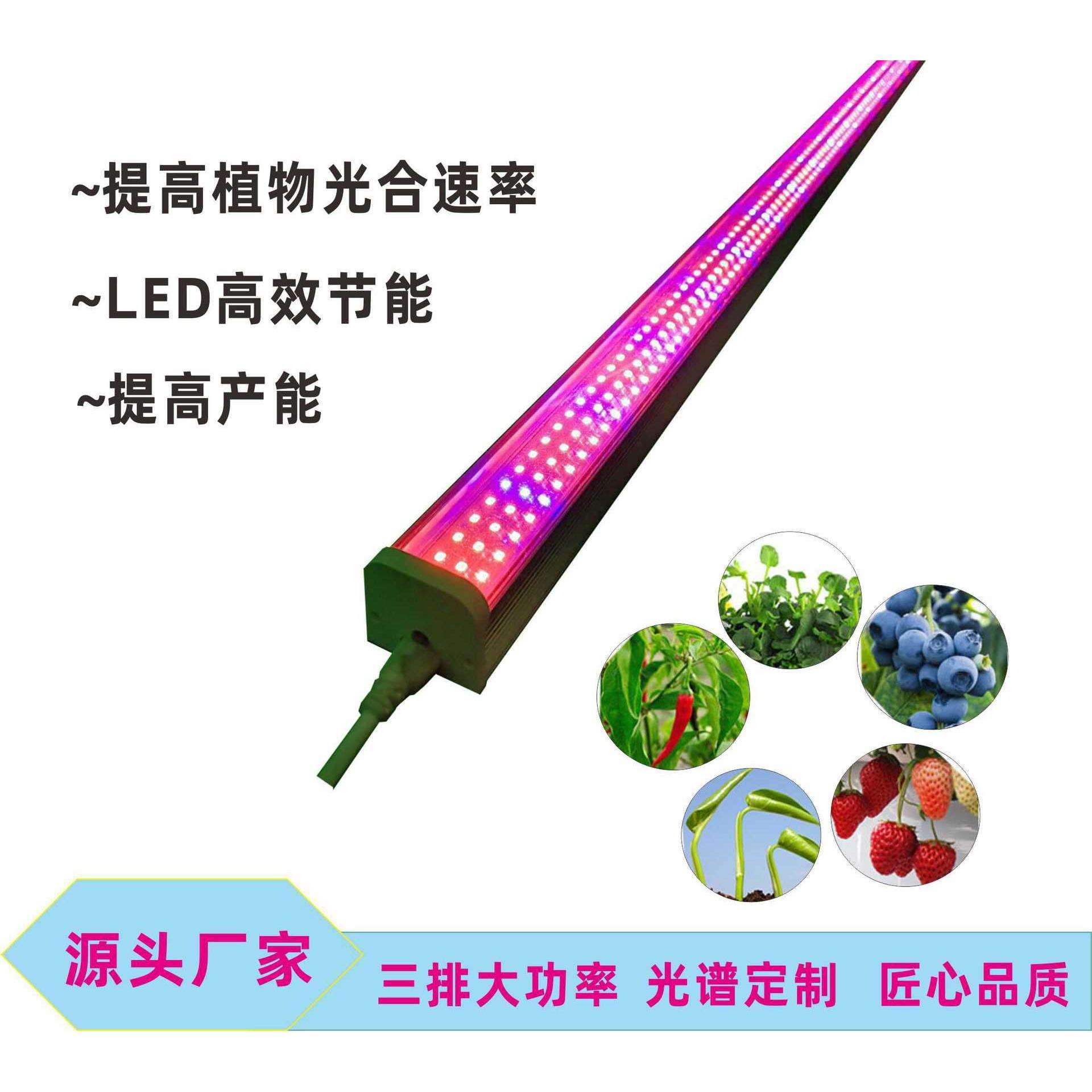新款大功率LED植物生长灯管全光谱红蓝植物生长补光灯