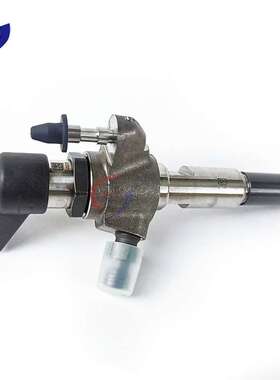 9802448680 喷油器 5027V05 A2c59513556 5ws40677 9674973080