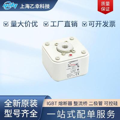 巴斯曼熔断器 170M6589 170M6590 170M6591 170M6592 170M6593