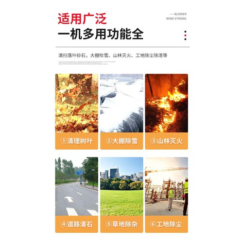 意大利efco叶红SA2062背负式吹风机 森林灭火机 道路吹雪机吹叶机