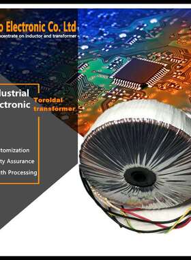 AC220V转AC12V3000W全铜线环形电源变压器 音频功放音响变压器