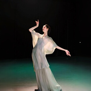 新款 古典舞服印花宽松纱衣国风民族舞练功服飘逸仙气大裙摆演出服