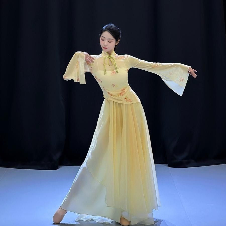 古典舞练功服套装仙气渐变纱衣