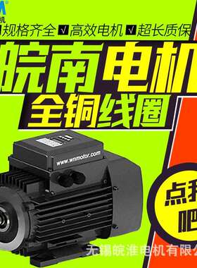 皖南电机YZNP2智能控制三相异步电机132kw160kw185kw200kw