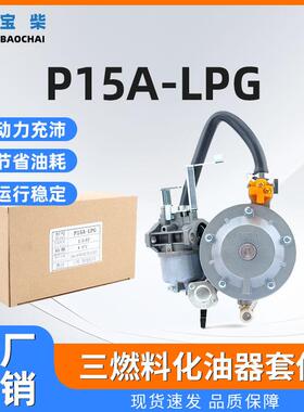 P15A-LPG三燃料化油器套件 GT241 154F 156F 发电机零件