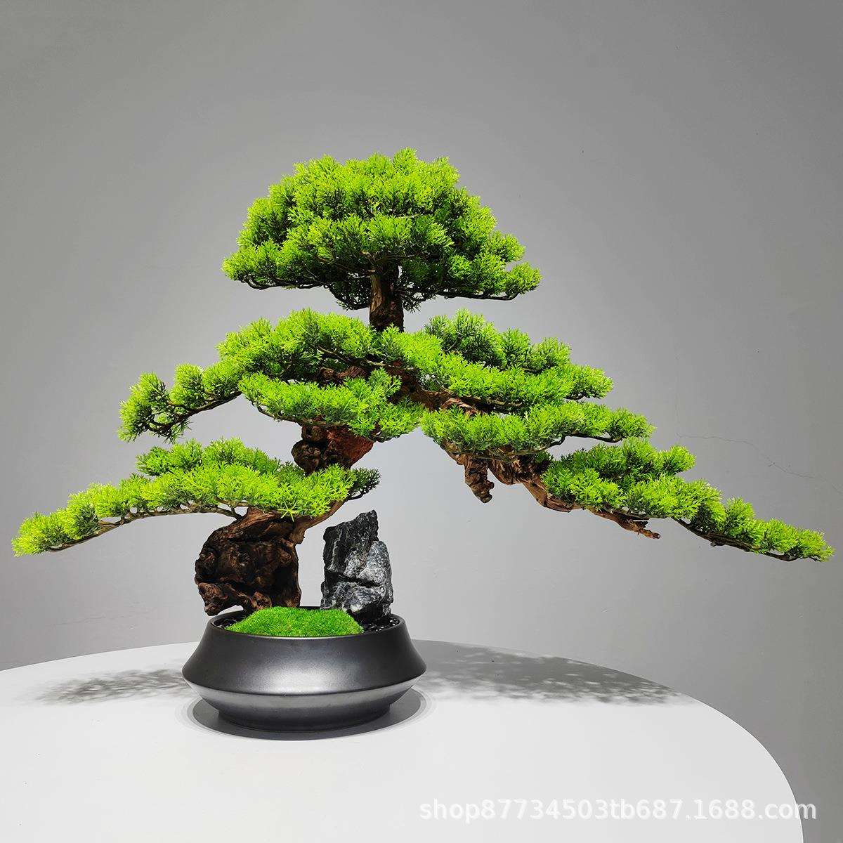 新中式迎客松树盆景摆件石头枯山水样板房玄关微景观绿植陶瓷盆栽