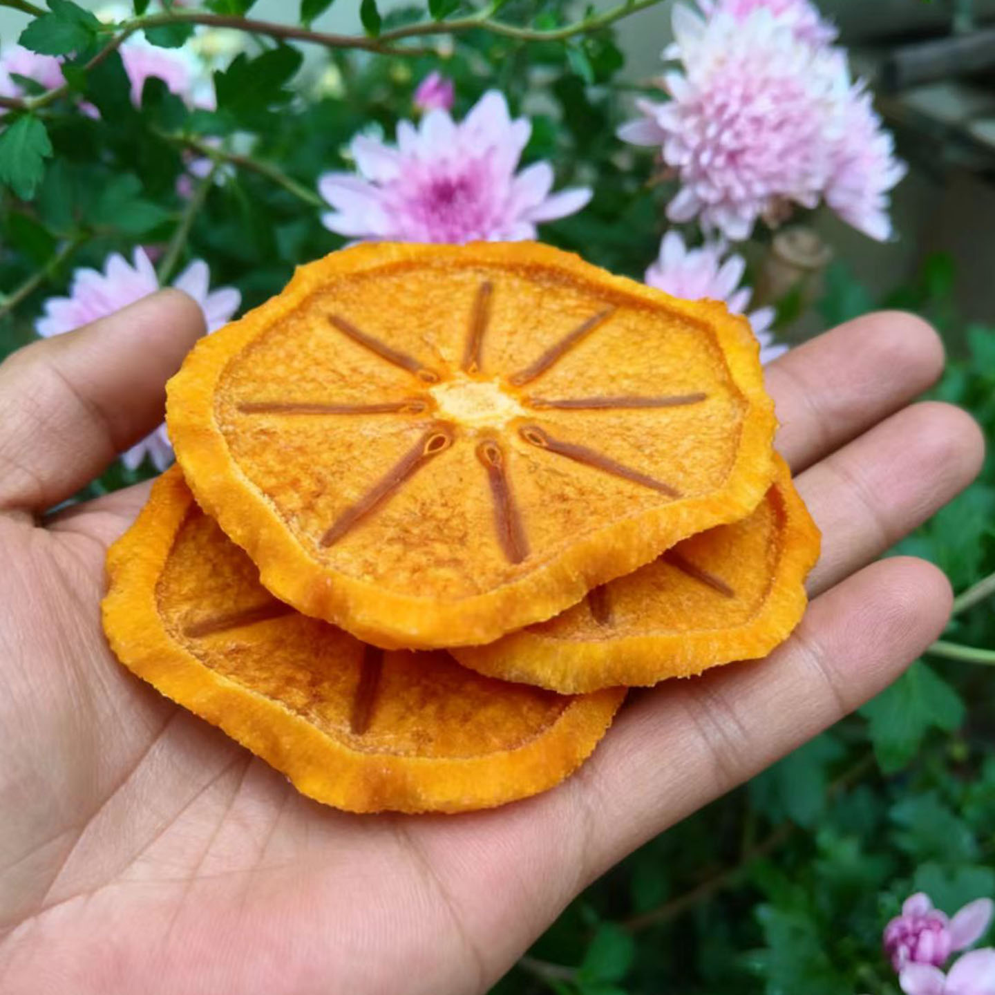 农家怀旧原味手工无添加工保山甜脆柿子干现货散装全程烘干250g