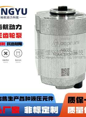 卡普罗尼Caproni齿轮泵3337975/林德叉车10A4.2X302B泵10A2液压泵