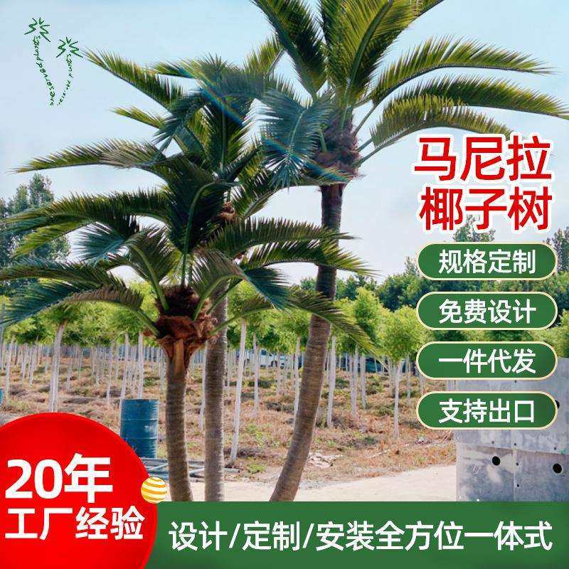 仿真马尼拉椰子树大型仿真大王椰子海枣树室外景观造景假棕榈树