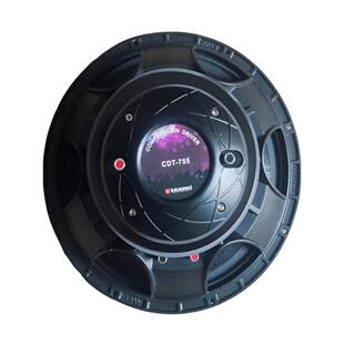 B.W.AUDIO CDT-75515寸同轴低音喇叭单元高专业高音