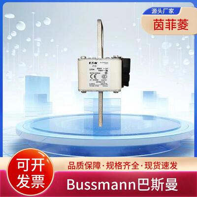 熔断器170M5759 170M5760 170M5761 170M5762 170M5763 170M5764