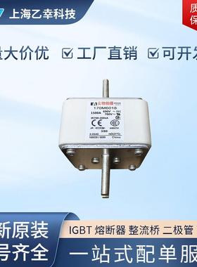 巴斯曼熔断器 170M6010 170M6011 170M6012 170M6013 170M6014