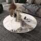 意式 奢石岩板茶几北欧小户型现代极简约大理石圆形茶几桌客厅家用
