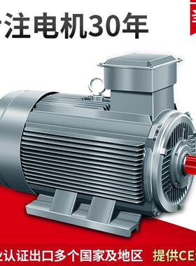 三相异步微型马达1.5KWYE3-90L 4极铜线矿用化工厂振动筛震动电机