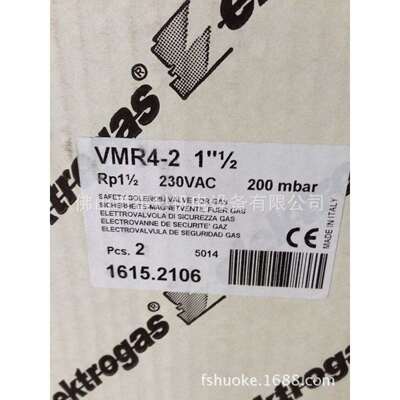elektrogas（伊莱克斯VMR4-2 RP1
