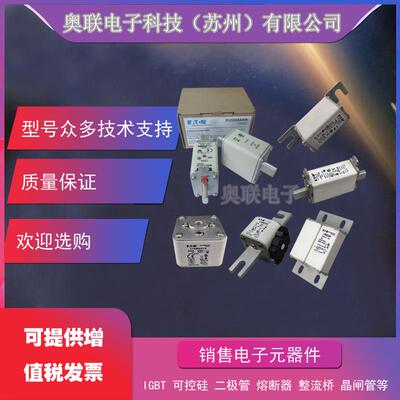 熔断器170M5438 170M5439 170M5440 170M5441 170M5442 170M5443