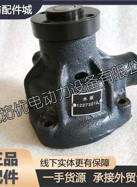 潍坊潍柴226B-3C船用道依茨WP4柴油发动机发电机组水泵12273212