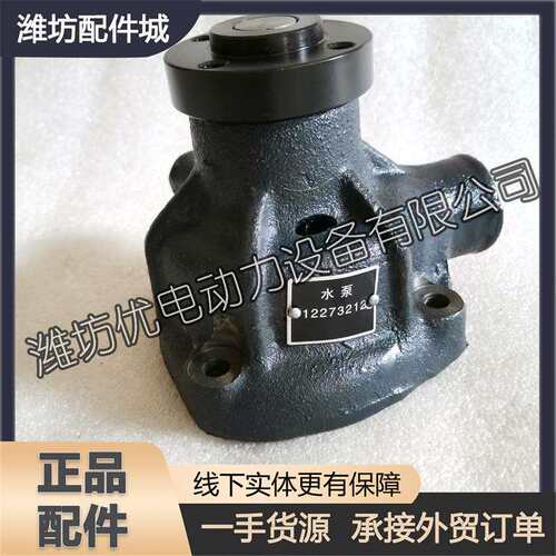 潍坊潍柴226B-3C船用道依茨WP4柴油发动机发电机组水泵12273212