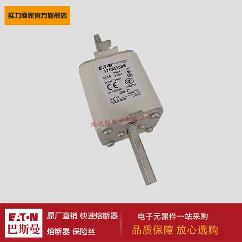 熔断器170M5776 170M5804 170M5805 170M5806 170M5807 170M6035