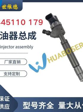 0445110179 A6460700487柴油高压共轨喷油器总成喷油嘴