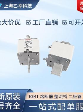 巴斯曼熔断器 170M6261 170M6262 170M6263 170M6264 170M6265