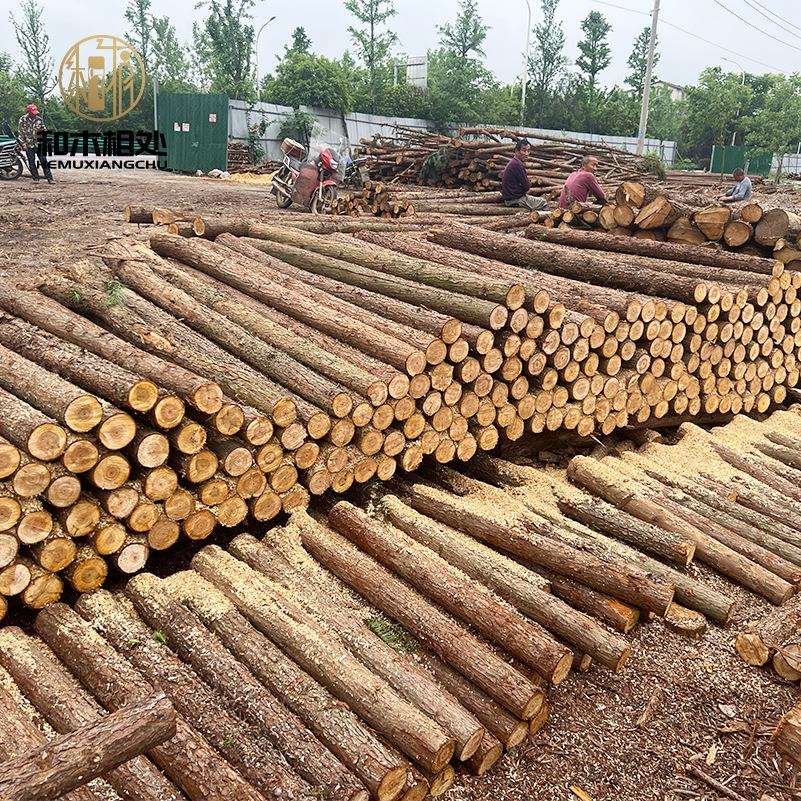 木桩打桩立柱户外价格工程围栏园林绿化树木支撑杆杉木桩