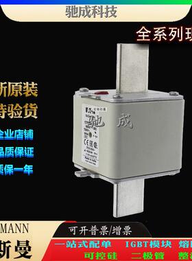 巴斯曼170M6763 170M6813 170M6814 厂家直供零售 方体熔断器