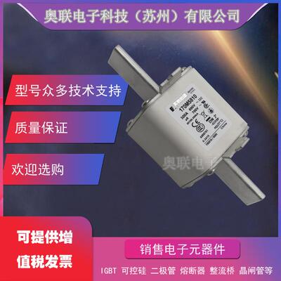 170M4965 170M4966 170M4967 170M4968 170M4969巴斯曼熔断器保险