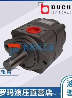 布赫齿轮泵BUCHER油泵QX52-040R06 QX52-050R09 QX52-063R12现货
