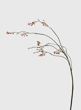 侘寂风黑色高级感玄关t装饰摆件极简花瓶铁艺桌面艺术插花器