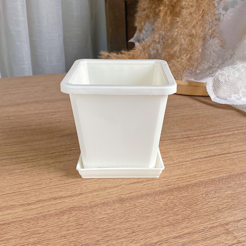 多肉花盆景天小方盆 n十二卷生石花pp盆 多肉植物群生老庄盆大方