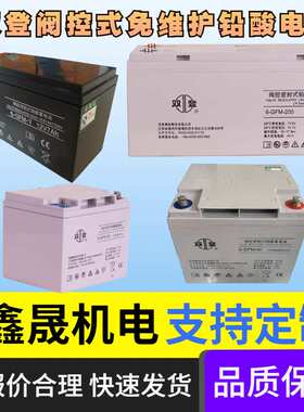 双登12V50AH 双登蓄电池6-GFM-50铅酸免维护机房应急电源使用