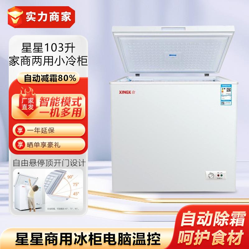 星星商用冰柜电脑温控微霜藏冷冻转换冷柜单温单箱冰箱雪糕柜冰箱