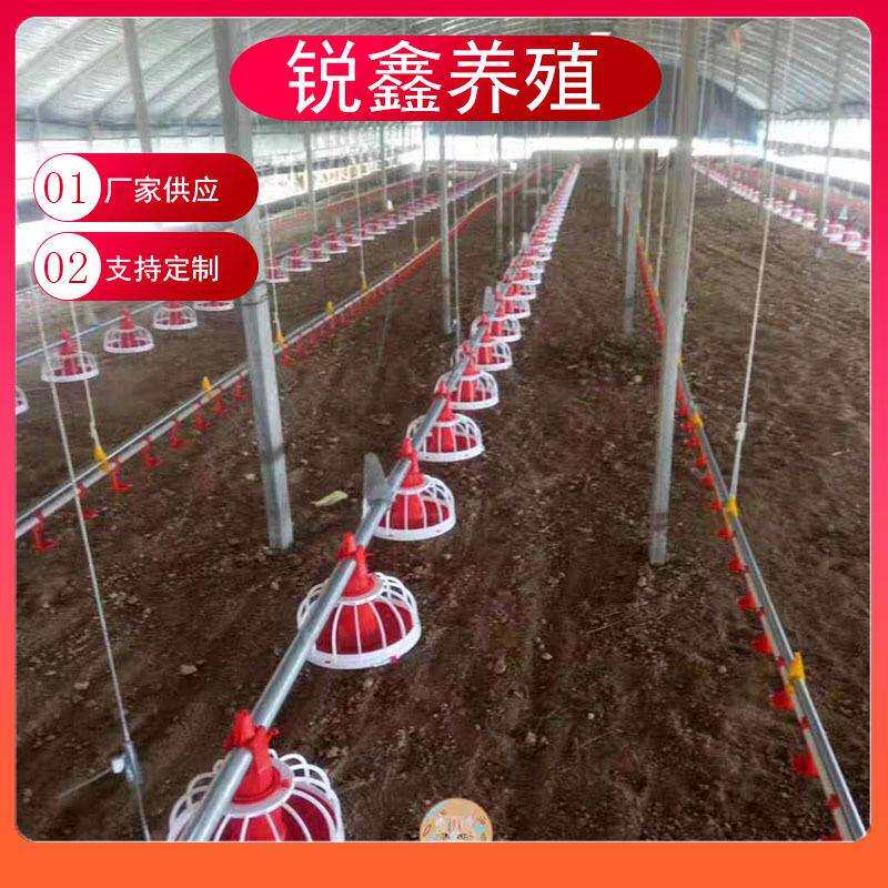 鸡用料线 养鸡设备全自动养殖设备鸡用料线肉鸡自动喂料鸡用料线