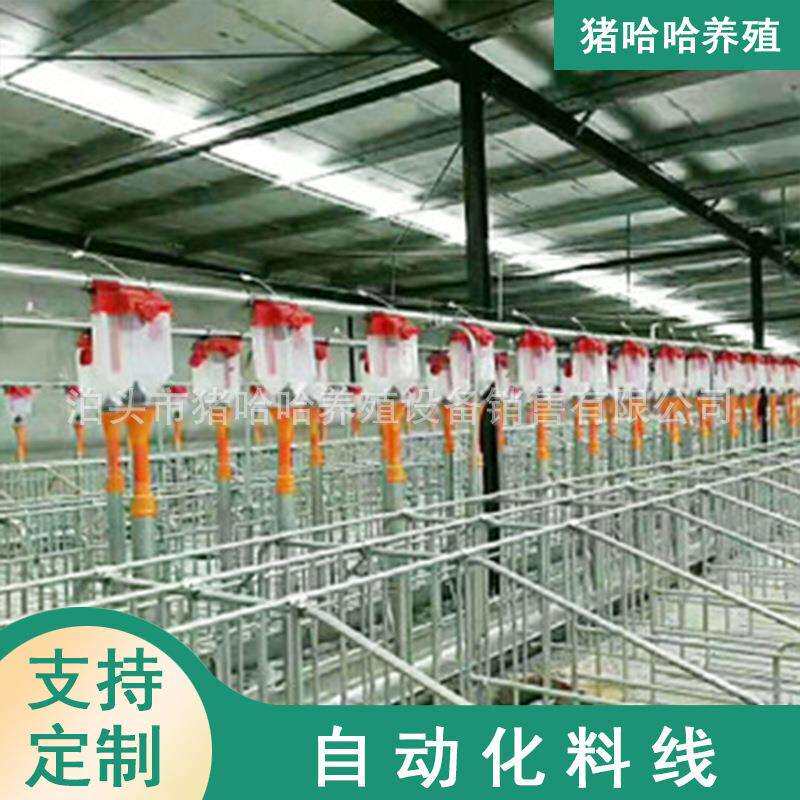 自动化料线 猪厂全自动化料线 养猪料线 畜牧养殖设备