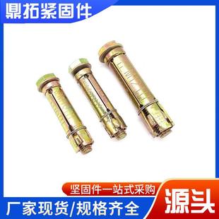 M20镀彩锌 三四片膨胀螺栓 壁虎锚栓 内爆膨胀 M20三四片式